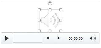 Audio control with the speaker icon selected